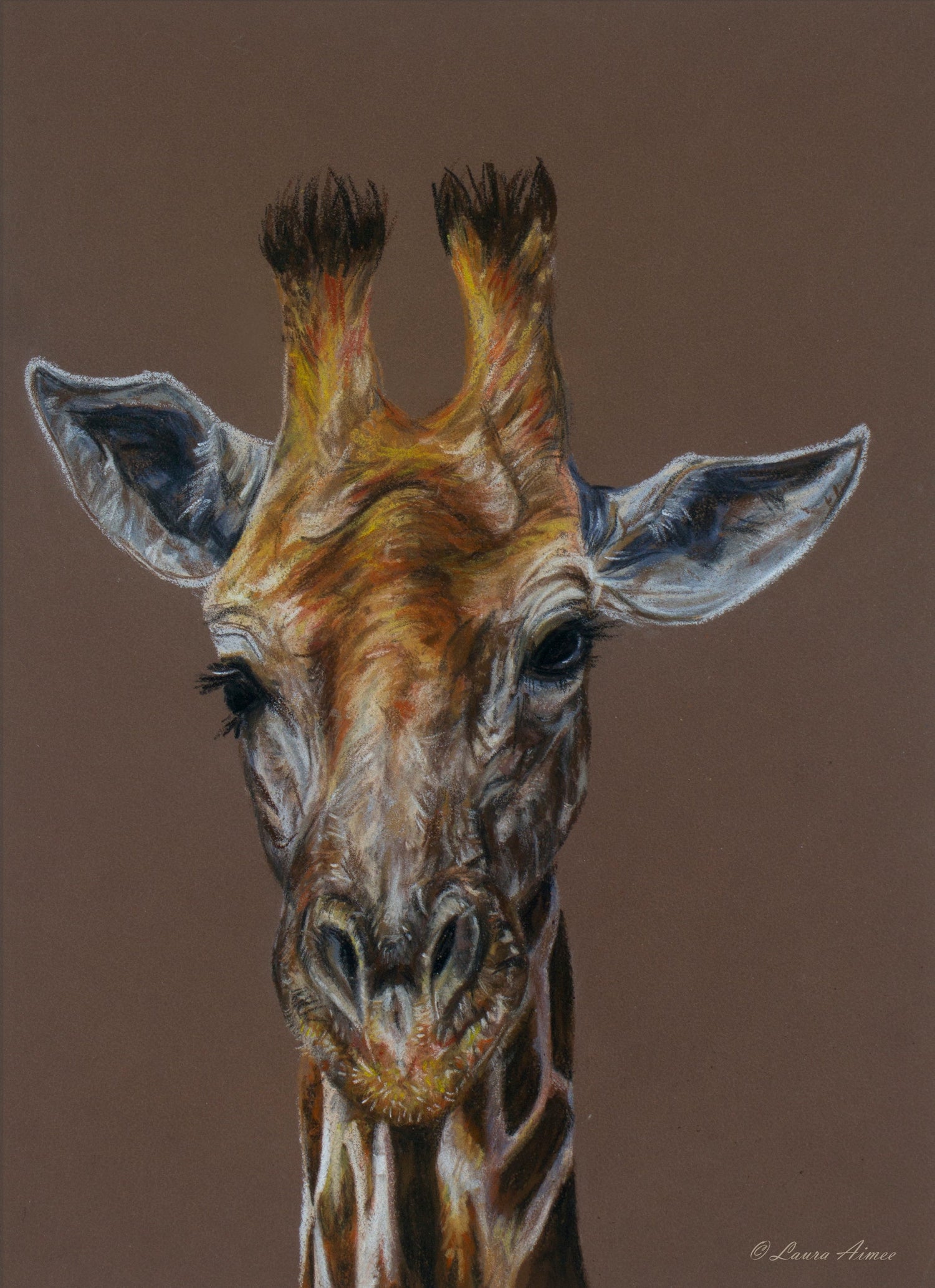 Pastel pencil giraffe drawing