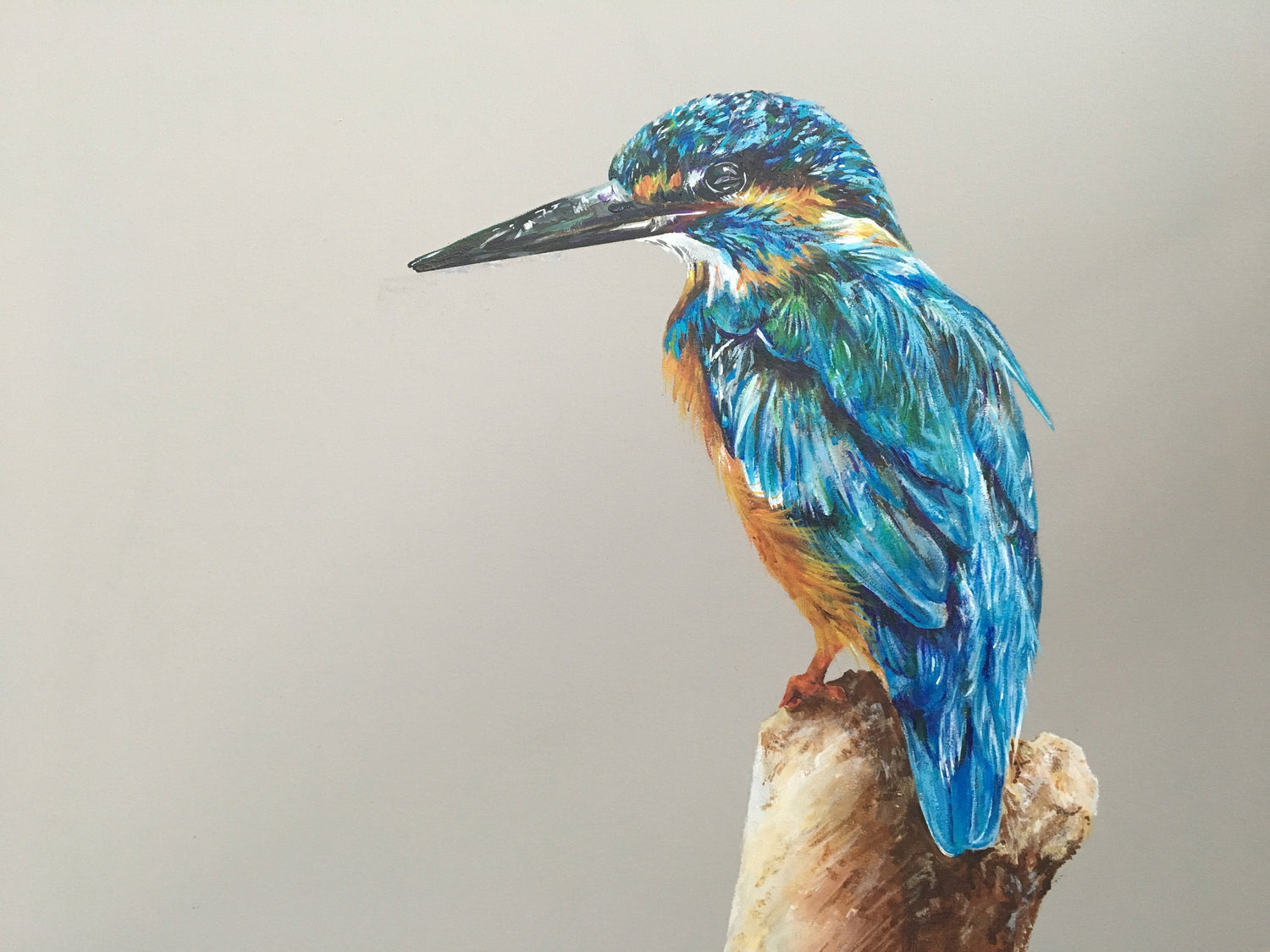 Colour acrylic painting for a kingfisher perched on a log. 