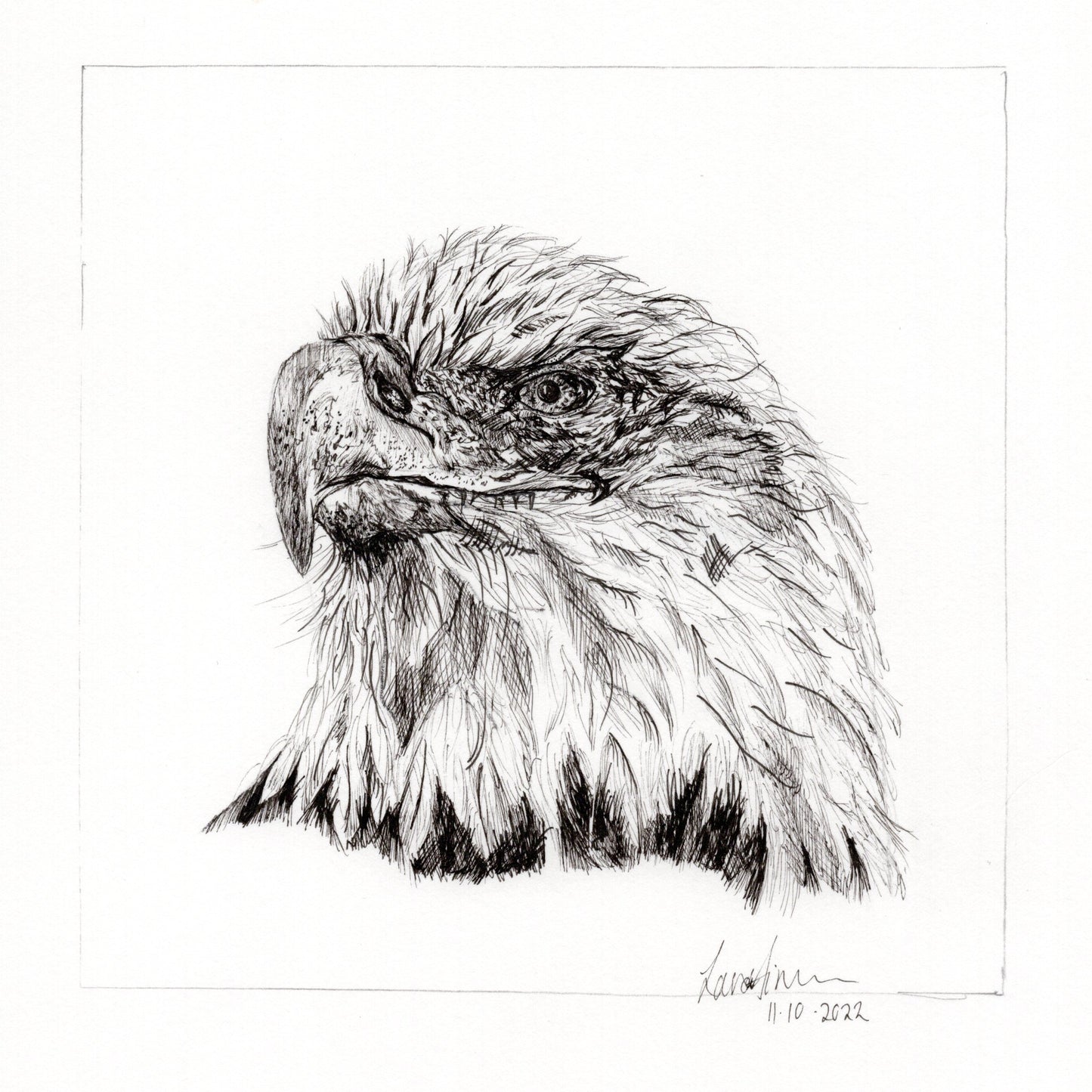 Bald Eagle Fineliner Original Sketch