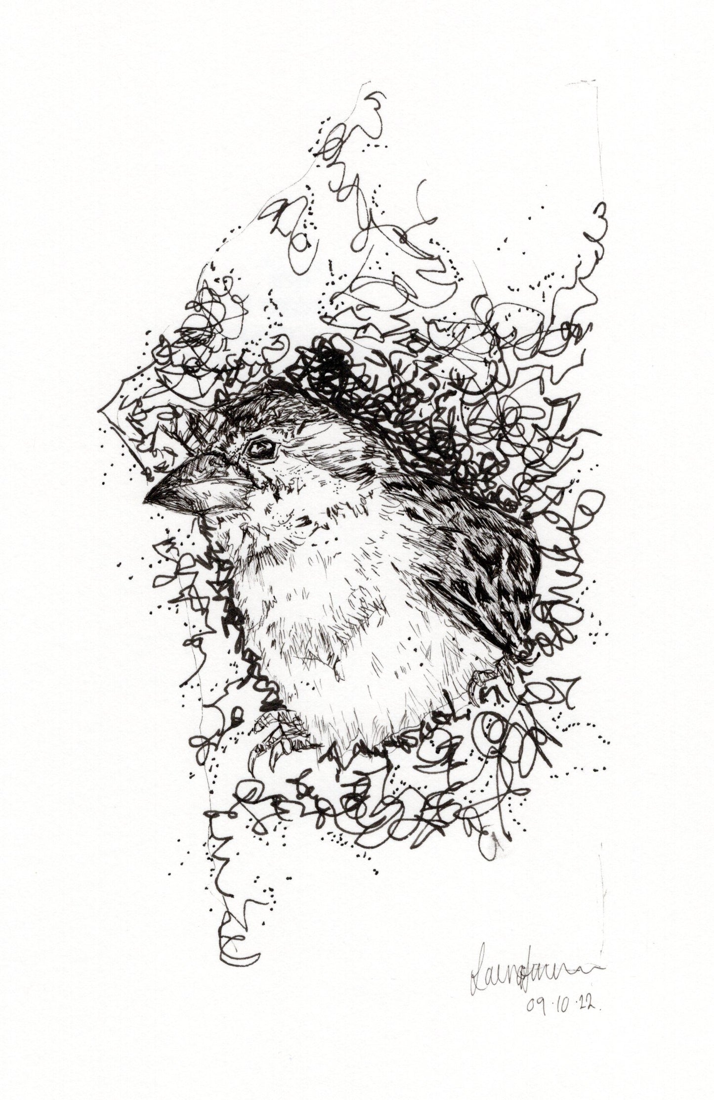 Bird & Nest Fineliner Pen Original Sketch