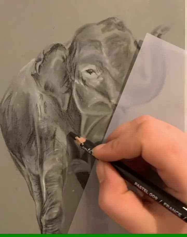 Black and white charcoal drawing, video of work in progress drawing. 