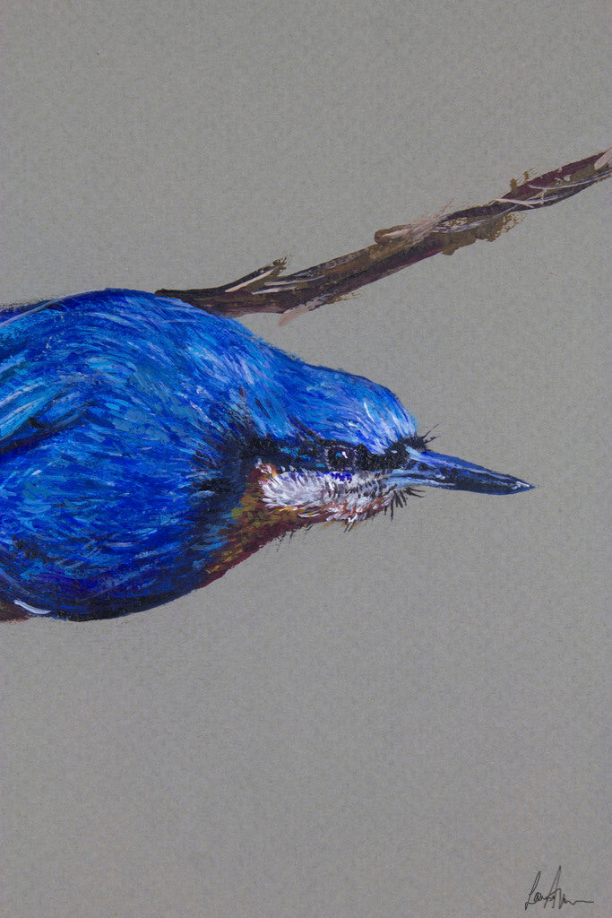 Nuthatch Bird Original Acrylic Painting