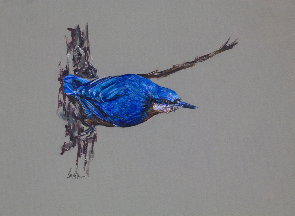 Nuthatch Bird Original Acrylic Painting