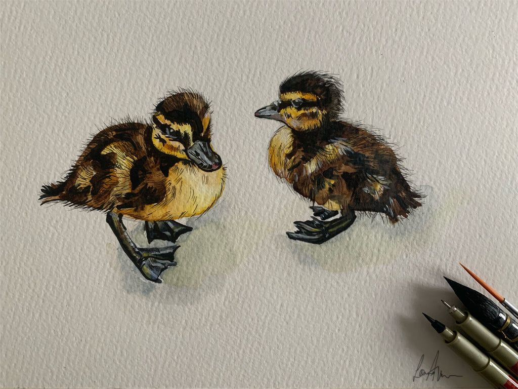 Duckling Watercolour & Fineliner Original Painting