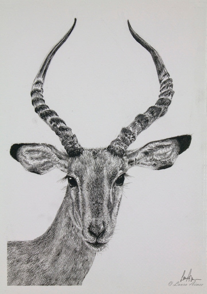 Impala Fineliner Pen Original Drawing