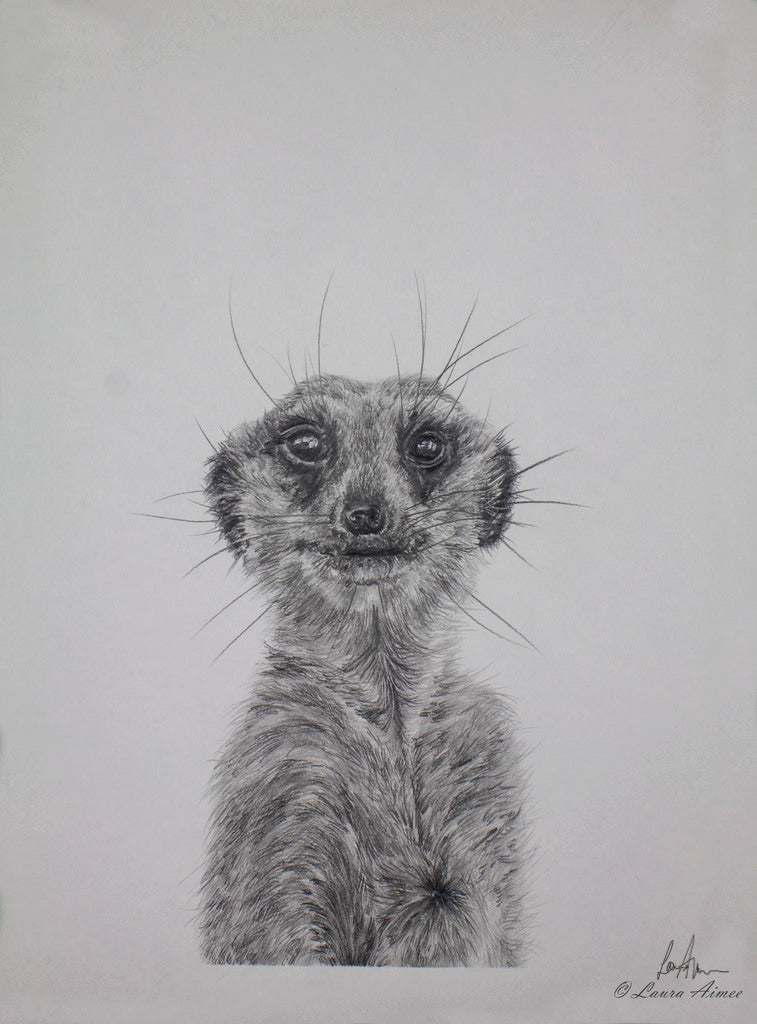 Meerkat Graphite Pencil Original Drawing