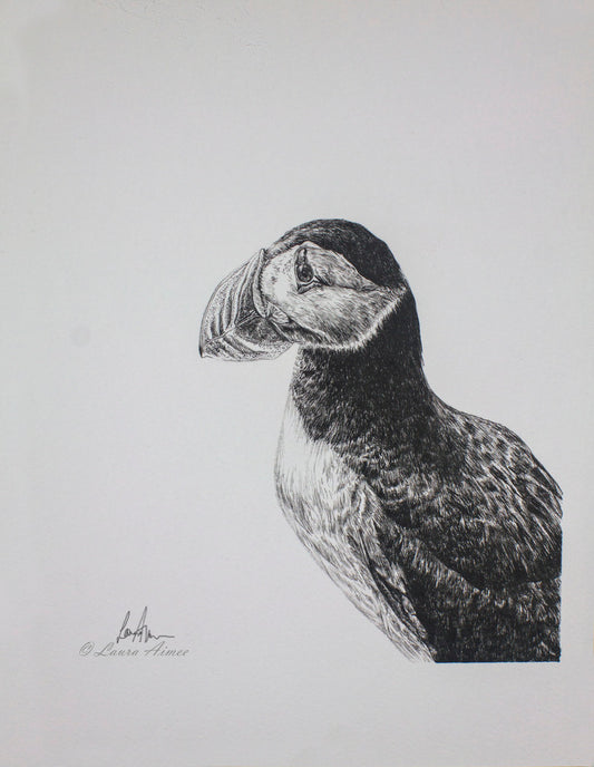 Puffin Fineliner Pen Original Drawing