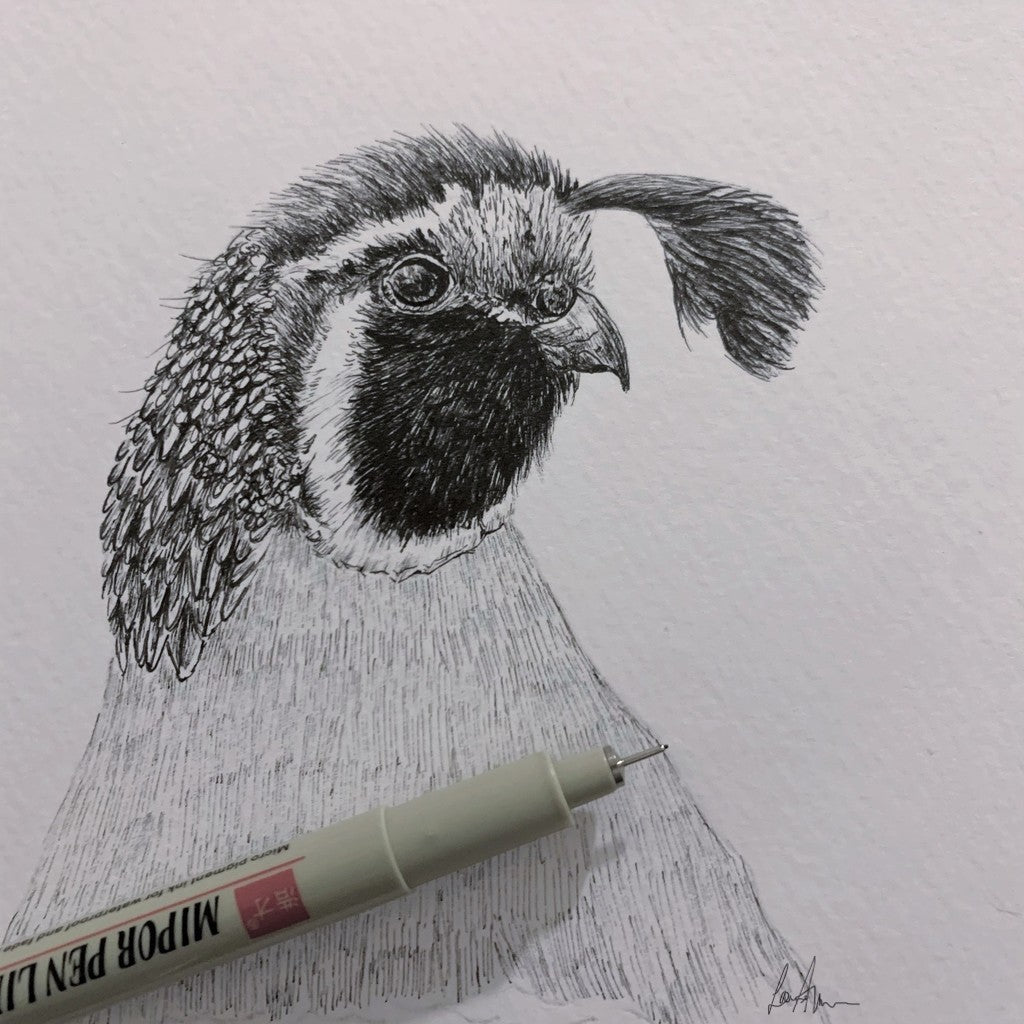 Quail Fineliner Pen Original Drawing