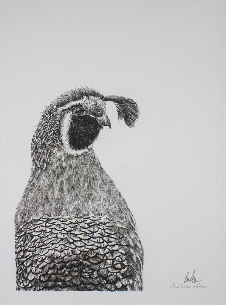 Quail Fineliner Pen Original Drawing