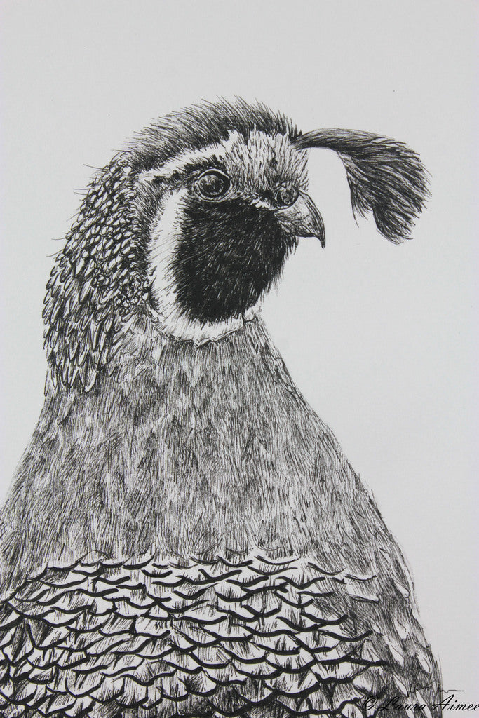 Quail Fineliner Pen Original Drawing