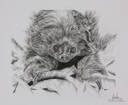 Sloth Fineliner Pen Original Drawing