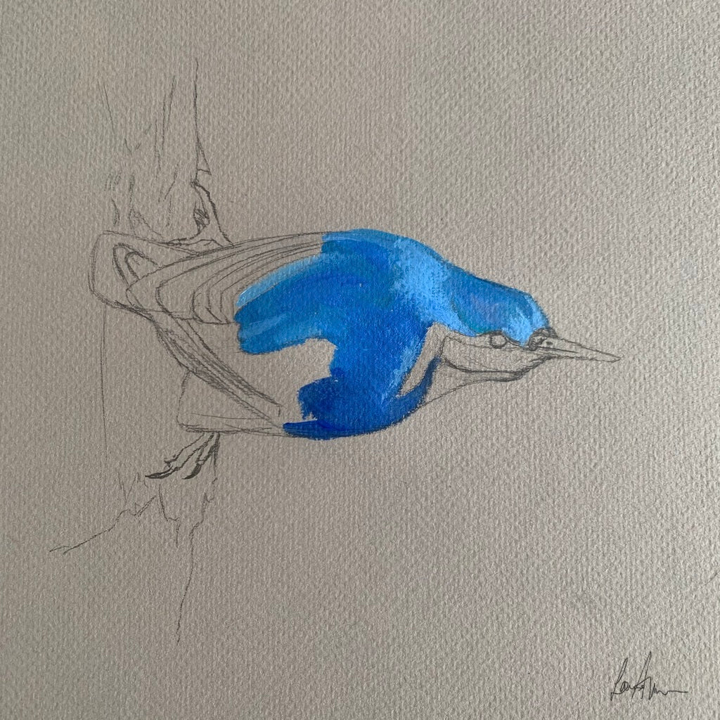 Nuthatch Bird Original Acrylic Painting