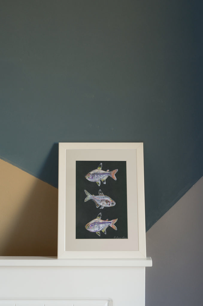 X-Ray Tetra Fish Pastel Original Drawing