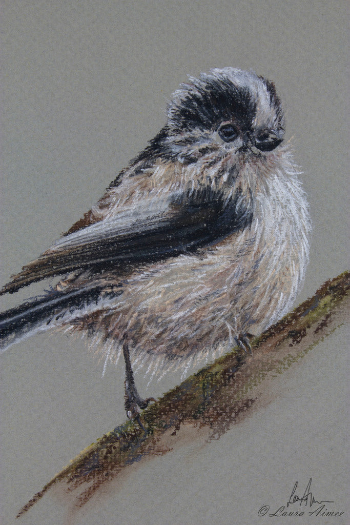 Long-tailed Tit Pastel Original Bird Drawing