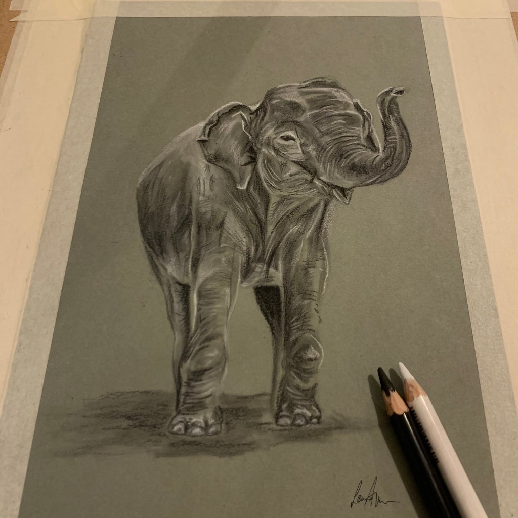 Elephant Charcoal & Chalk Original Drawing