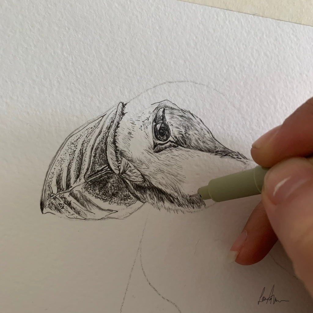 Puffin Fineliner Pen Original Drawing